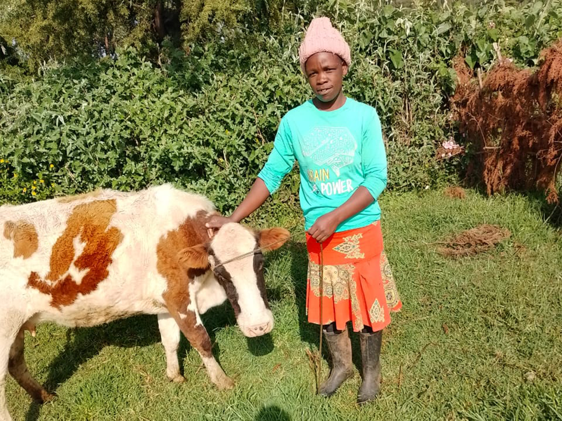 A Project That Has A Constant Impact